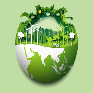 Ecosia. Il motore di ricerca che pianta alberi