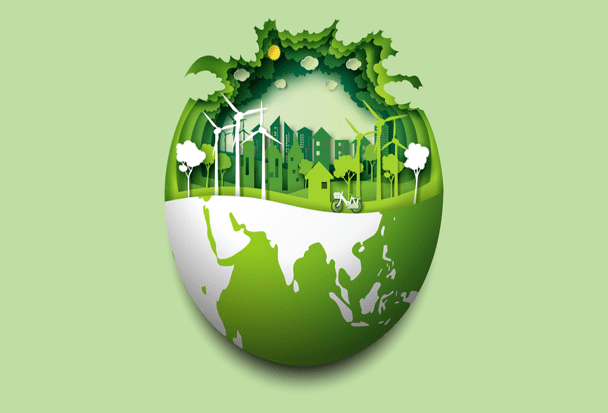 Ecosia. Il motore di ricerca che pianta alberi